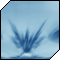 NooTe's Avatar