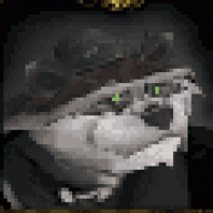 Beaver2k4
