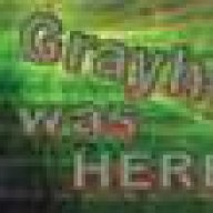 grayhound