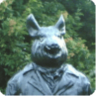 zurki