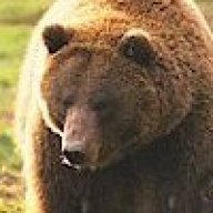 GreatGrizzly