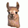 Damn Llama