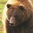 GreatGrizzly